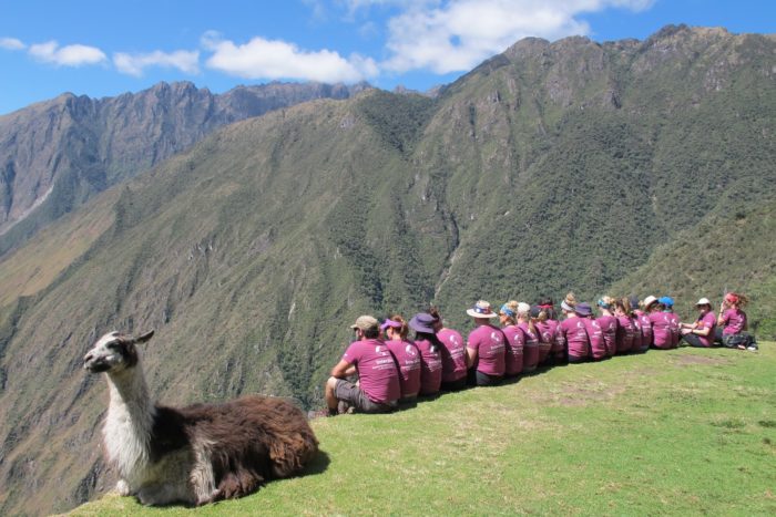 Taking in the Andes (and hanging with a llama) during a Machu Picchu trek in 2015.